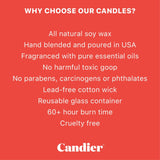 CANDY CANES CANDLE